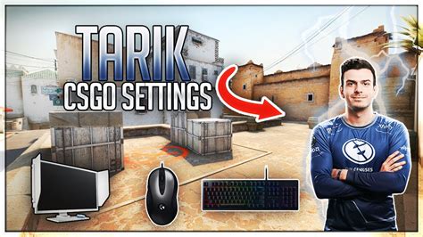 tarik setup|tarik csgo settings.
